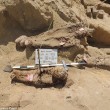 Egitto, necropoli con un milione di mummie scoperta a Faiyum02