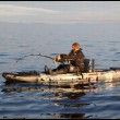 Norvegia, squalo da 565 kg pescato con il kayak5