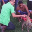 VIDEO YouTube fanno saltare cane con fuochi artificio e vengono solo multati 3