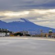 Vesuvio, cima e fianchi ricoperti di neve 5