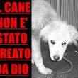 "Il cane è una bestia satanica". Facebook, folle pagina che vuole sterminarli