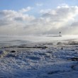 Usa, ondata di freddo glaciale: Lago Michigan 5