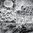 Le immagini dei rover: forse inquadrano fossili su Marte 6