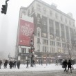 New York, tempesta di neve mai vista: coprifuoco14