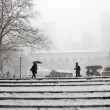 New York, tempesta di neve mai vista: coprifuoco13