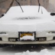 New York, tempesta di neve non arriva: meteo si scusa, strade riaperte06