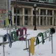 Usa e Canada, sciarpe legate agli alberi per i senzatetto infreddoliti