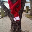 Usa e Canada, sciarpe legate agli alberi per i senzatetto infreddoliti 07