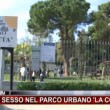 Capaccio, sesso nel parco La Collinetta VIDEO: passanti filmano tutto 03