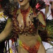 Rio De Janeiro, Carnevale 2015 dedicato alla "donna brasiliana" 12