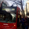 Londra, bus a colpisce albero:03