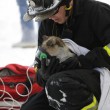 Usa, gatto sopravvive a incendio: pompieri gli danno l'ossigeno05