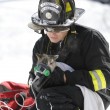 Usa, gatto sopravvive a incendio: pompieri gli danno l'ossigeno4