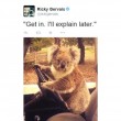 Australia, koala vuole "rubare" auto in sosta3