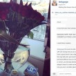 Lady Gaga e Taylor Kinney sposi: annuncio su Instagram FOTO 2