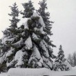 Meteo, Big snow arriva sull'Italia il 5 febbraio: neve, pioggia e freddo 4