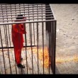Muadh al Kaseasbeh pilota giordano arso vivo dall'Isis