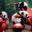 Cina, tre panda gemelli giocano al Safari Park di Guangzhou