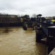 Ponte Umberto, Roma: uomo si butta nel Tevere, corpo sparito nel fiume in piena