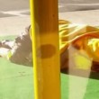 VIDEO YouTube Sesso in strada negli Usa: effetto 50 Sfumature di Grigio3