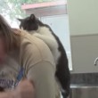 Il gatto che massaggia la schiena alla sua padrona (3)