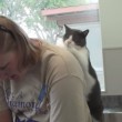 Il gatto che massaggia la schiena alla sua padrona (4)
