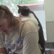 Il gatto che massaggia la schiena alla sua padrona (7)
