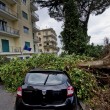 Napoli, vento forte: albero su edicola, tettoia precipita in strada