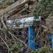 Napoli, vento forte: albero su edicola, tettoia precipita in strada 02