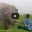 VIDEO YouTube ubriaco provoca elefante, che lo abbatte e lo calpesta (2)