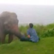 VIDEO YouTube ubriaco provoca elefante, che lo abbatte e lo calpesta (5)