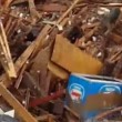 VIDEO YouTube: Cile, cane tra i detriti dell'alluvione si salva per miracolo5