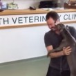 VIDEO YouTube: ritrova padrone dopo 6 mesi, la gioia del cane è incontenibile4