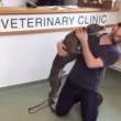 VIDEO YouTube: ritrova padrone dopo 6 mesi, la gioia del cane è incontenibile3