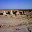 Iraq, Isis distrugge anche il sito archeologico di Hatra09
