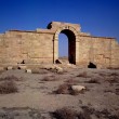 Iraq, Isis distrugge anche il sito archeologico di Hatra03
