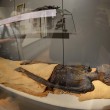 Museo Egizio Torino riapre dopo 3 anni FOTO nuovo allestimento02