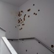 Tunisi, dentro le sale del museo Bardo: FOTO proiettili sui muri 08