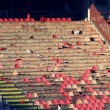 Belgrado, derby Partizan-Stella Rossa: scontri, 50 feriti e 40 arresti20