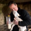 VIDEO YouTube - David Cameron allatta un agnello...campagna elettorale Uk FOTO