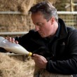VIDEO YouTube - David Cameron allatta un agnello...campagna elettorale Uk FOTO4