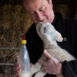 VIDEO YouTube - David Cameron allatta un agnello...campagna elettorale Uk FOTO6