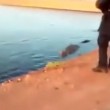 VIDEO YouTube: Messico, poliziotto spara col mitra a coccodrillo e rischia condanna 04