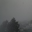 Maltempo, neve e pioggia in Marche, Abruzzo, Molise, Puglia FOTO-VIDEO3