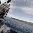 squalo aggredisce gommone troupe televisiva in Nuova Zelanda0