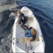 squalo aggredisce gommone troupe televisiva in Nuova Zelanda05