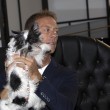 Rocco Siffredi testimonial Animalisti Italiani: "Pene più dure a chi li maltratta04