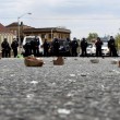 Baltimora, scontri con polizia dopo nero ucciso: 15 feriti, saccheggi e incendi25