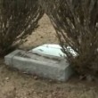 Muore al cimitero: lapide suocera lo schiaccia02