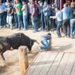 Spagna, uomo a terra viene incornato da un toro 3